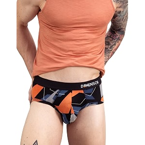 DAMENSCH Men Modal Briefs