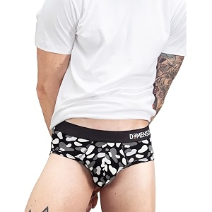 DAMENSCH Men Modal Briefs