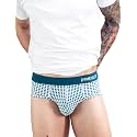 DAMENSCH Men Modal Briefs
