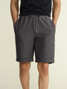 Damensch Solid Men Grey Casual Shorts