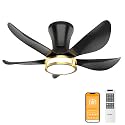 DAMINY 30 Inch Black Ceiling Fans with Lights and Remote