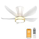 DAMINY 30 Inch White Ceiling Fans with Lights and Remote