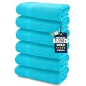 DAN RIVER 6-Pack Premium Hand Towels (16x28 Inches) - 100% Cotton, Ultra Soft, Lightweight, Highly Absorbent Towels for Bathroom, Spa, Gym, Salon, Hotel, and Travel - Turquoise