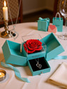 DANAVBOX Jewellery, Artificial Flower, Greeting Card, Showpiece Gift Set