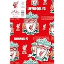 Liverpool FC Wrapping Paper 2 Sheets 2 Tags, Liverpool Football Gift Wrap