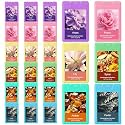 Dansib 24 Pack Hand Sanitizer Spray Bulk Travel Size, 0.67 Fl. oz