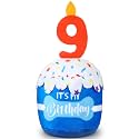 Dansydaisy Dog Birthday Cake Toy Squeaky Plush Gift,9th,Blue