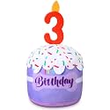 Dansydaisy Dog Birthday Cake Toy Squeaky Plush Gift,3rd,Purple
