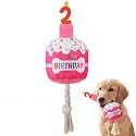 Dansydaisy Dog Birthday Cake Toy Squeaky Plush Gift,2nd,Rose Pink
