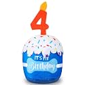 Dansydaisy Dog Birthday Cake Toy Squeaky Plush Gift,4th,Blue
