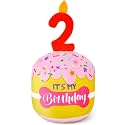 Dansydaisy Dog Birthday Cake Toy Squeaky Plush Gift,2nd,Pink and Yellow
