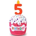 Dansydaisy Dog Birthday Cake Toy Squeaky Plush Gift,5th,Pink