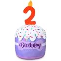 Dansydaisy Dog Birthday Cake Toy Squeaky Plush Gift,2nd,Purple