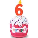 Dansydaisy Dog Birthday Cake Toy Squeaky Plush Gift,6th,Pink