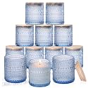 DARJEN 12 Pcs 8oz Glass Candle Jars with Lids, Candle Tins-Blue
