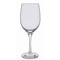 Dartington Crystal Wine Master White Wine Glass Set of 2 Premium International Wine Glasses Compatible with Wine Glass Rack, Holder, or Hanging