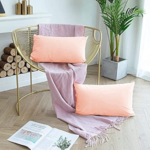 day care - microfiber queen size 2034 x 3034 inches51cm x 76cm pillow covers - set of 2peach