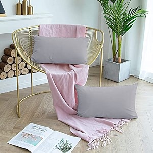 day care - microfiber queen size 2034 x 3034 inches51cm x 76cm pillow covers - set of 2silver