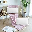 Day Care - Microfiber Queen Size (20" x 30" Inches/51cm x 76cm) Pillow Covers - Set of 2|White