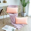 Day Care - Microfiber Queen Size (20" x 30" Inches/51cm x 76cm) Pillow Covers - Set of 2|Peach
