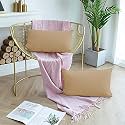 Day Care - Microfiber Queen Size (20" x 30" Inches/51cm x 76cm) Pillow Covers - Set of 2|Beige