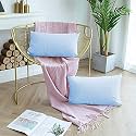 Day Care - Microfiber Queen Size (20" x 30" Inches/51cm x 76cm) Pillow Covers - Set of 2|Sky Blue