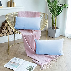 day care - microfiber standard size 1834 x 2834 inches46cm x 71cm pillow covers - set of 2sky blue