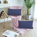 Day Care - Microfiber Standard Size (18" x 28" Inches/46cm x 71cm) Pillow Covers - Set of 2|Medium Blue