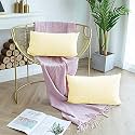 Day Care - Microfiber Standard Size (18" x 28" Inches/46cm x 71cm) Pillow Covers - Set of 2|Ivory