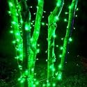 DAYBETTER® 15 Meter 30 LED Decorative Pixel Led String/Rice Light | 36 Feet Single Colour Diwali Still Led Ladi String for Home Decor, Christmas, Diwali and Festive (Green) TAR-E1-01