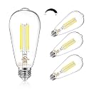 DAYBETTER 4 Pack Vintage LED Edison Bulbs, E26 LED Bulb 60W Equivalent, Dimmable LED Light Bulbs, 8W High Brightness 800 LM Daylight 5000K, ST58 Antique Filament Bulbs, Clear Glass Style for Home