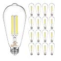DAYBETTER 16 Pack Vintage LED Edison Bulbs, E26 Led Bulb 60W Equivalent, Dimmable Led Light Bulbs, High Brightness 800 LM Daylight 5000K, ST58 Antique LED Filament Bulbs, Clear Glass Style for Home