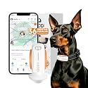 DBDD GPS Tracker for Dogs with 36 Month Subscription, Real-Time Location, Electronic Fence, Health Monitoring, Waterproof, for Medium Large Dogs, iOS Android