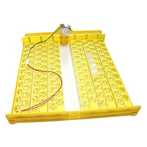 dc 12v m bird automatically turn the eggs parrot quail hatching tray poultry incubation equipment -132 eggs