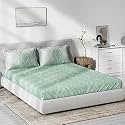 DDECOR - Celia 100% Cotton Double Bedsheet with 2 Pillow Covers, Green