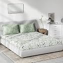 DDECOR - Davina 100% Cotton Double Bedsheet with 2 Pillow Covers, Green