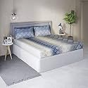DDECOR - Deluxe 100% Cotton Double Bedsheet with 2 Pillow Covers, Blue