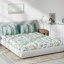 DDECOR - Elicia 100% Cotton Double Bedsheet with 2 Pillow Covers, Turquoise