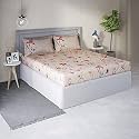 DDECOR - Eva 100% Cotton Double Bedsheet with 2 Pillow Covers, Orange