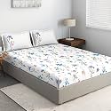 DDECOR - Eva 100% Cotton Double Bedsheet with 2 Pillow Covers, Blue