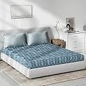 DDECOR - Foliage 100% Cotton Double Bedsheet with 2 Pillow Covers, Blue