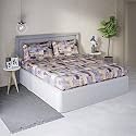 DDECOR - Stragazer 100% Cotton Double Bedsheet with 2 Pillow Covers, Lavendar