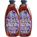 Dead Sea Collection Bubble Bath with Lavender for Women and Men - Lavender Oil and Pure Dead Sea Minerals - Nourishing and Moisturizing Skin - Pack of 2 (67.6 fl.oz)