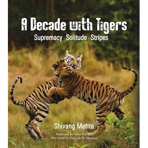 a decade with tigers supremacy solitude stripes