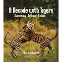 A Decade with Tigers: Supremacy. Solitude. Stripes