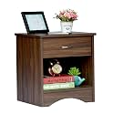 DeckUp Bei Engineered Wood Bed Side Table and End Table with Storage and Drawer (Walnut, Matte Finish)