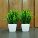 Decogreen 2,P BEANS,G SQ POT Combo H, Office Living R, Interior Design Balcony Garden Bonsai Artificial Plant  with Pot
