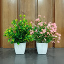 Decogreen 2,P MTP G,P SQ POT Combo H, Office Living R, Interior Design Balcony Garden Bonsai Artificial Plant  with Pot