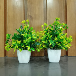 decogreen 2p mtp green sq pot combo h office living r interior design balcony garden bonsai artificial plant  with pot