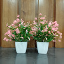 Decogreen 2,P MTP PINK SQ POT Combo H, Office Living R, Interior Design Balcony Garden Bonsai Artificial Plant  with Pot